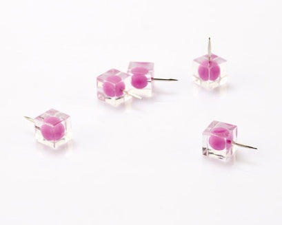 Push Pins Cork Board Nails Photo Wall Push Pins 80 Tack Pins