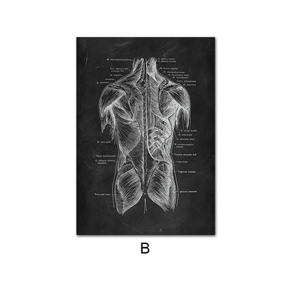 Canvas Painting Of Human Anatomy Skeleton Organ System