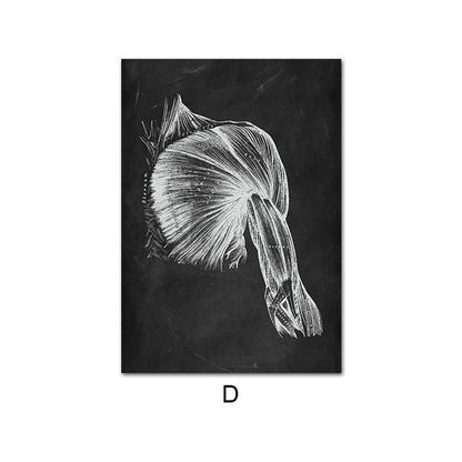 Canvas Painting Of Human Anatomy Skeleton Organ System