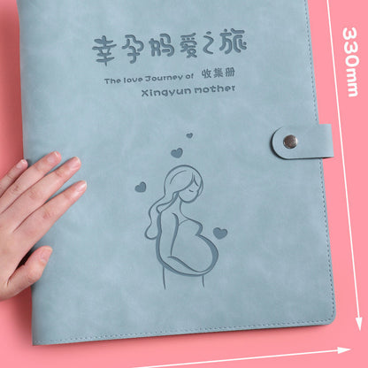 Lovely Portable Checklist File Folder Birth Inspection Book